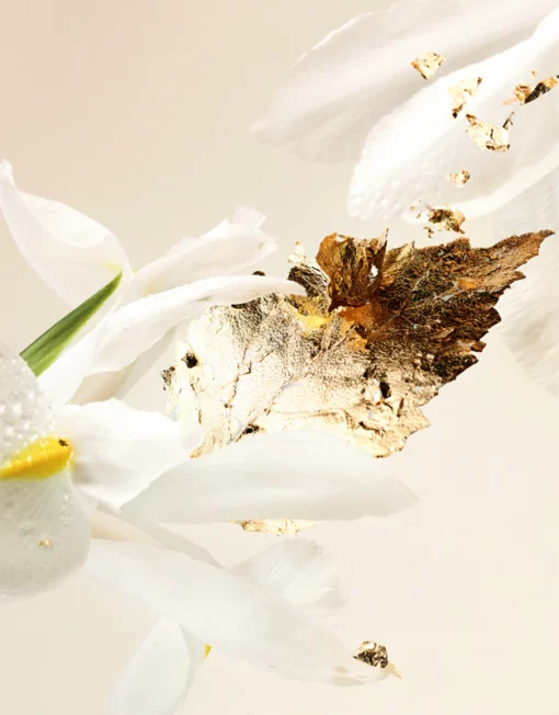 Bvlgari Splendida Patchouli Tentation 100 ml – Image 3