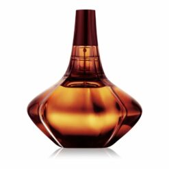 CALVIN KLEIN SECRET OBSESSION