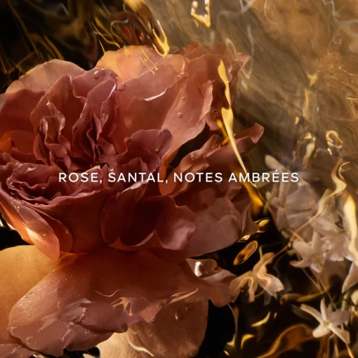 GUERLAIN LES ABSOLUS D'ORIENT  SANTAL ROYAL – Image 4