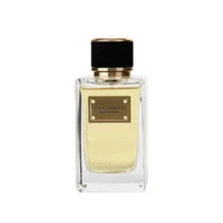 DOLCE & GABBANA VELVET PATCHOULI