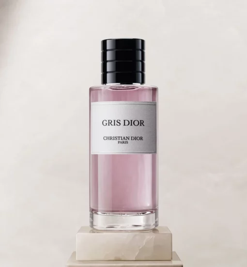 CHRISTIAN DIOR GRIS DIOR