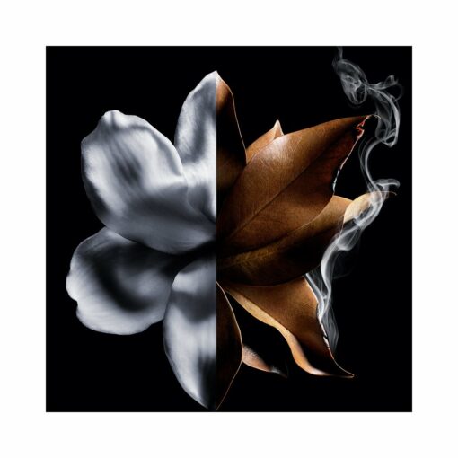 GIVENCHY L’Interdit Absolu – Image 4