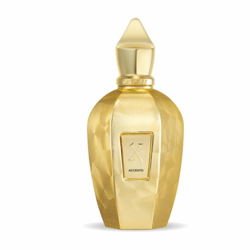 Xerjoff Accento Overdose 100 ml