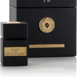 TIZIANA TERENZI GUMIN 2022 100 ML