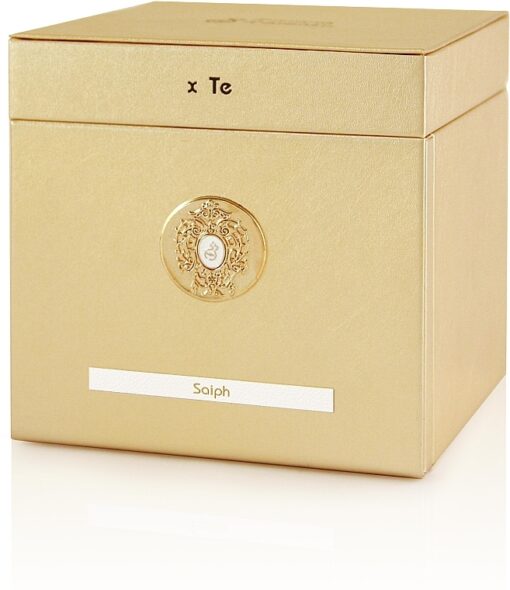 TIZIANA TERENZI SAIPH 100 ML – Image 3