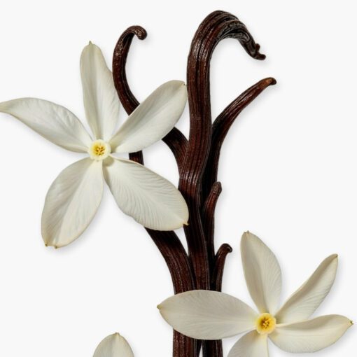 PARFUMS DE MARLY SAFANAD – Image 4