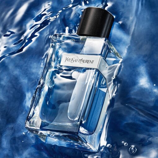 YVES SAINT LAURENT Y – Image 2