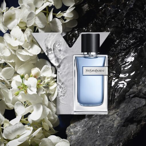 YVES SAINT LAURENT Y – Image 5