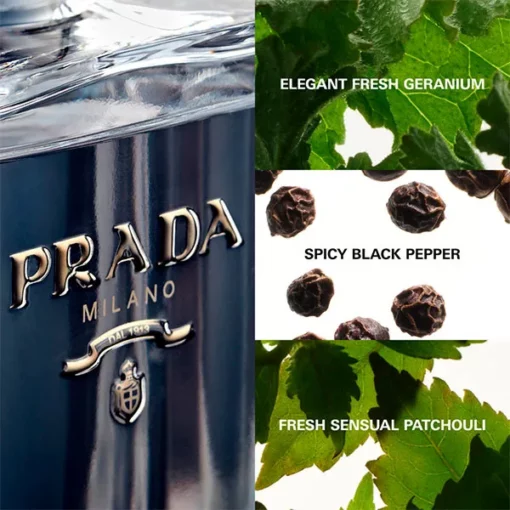 PRADA L'HOMME – Image 3