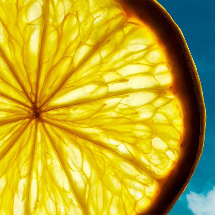 HUGO BOSS Bottled Bold Citrus – Image 5