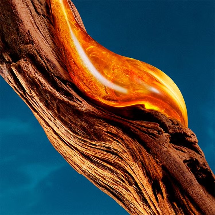 HUGO BOSS Bottled Bold Citrus – Image 6